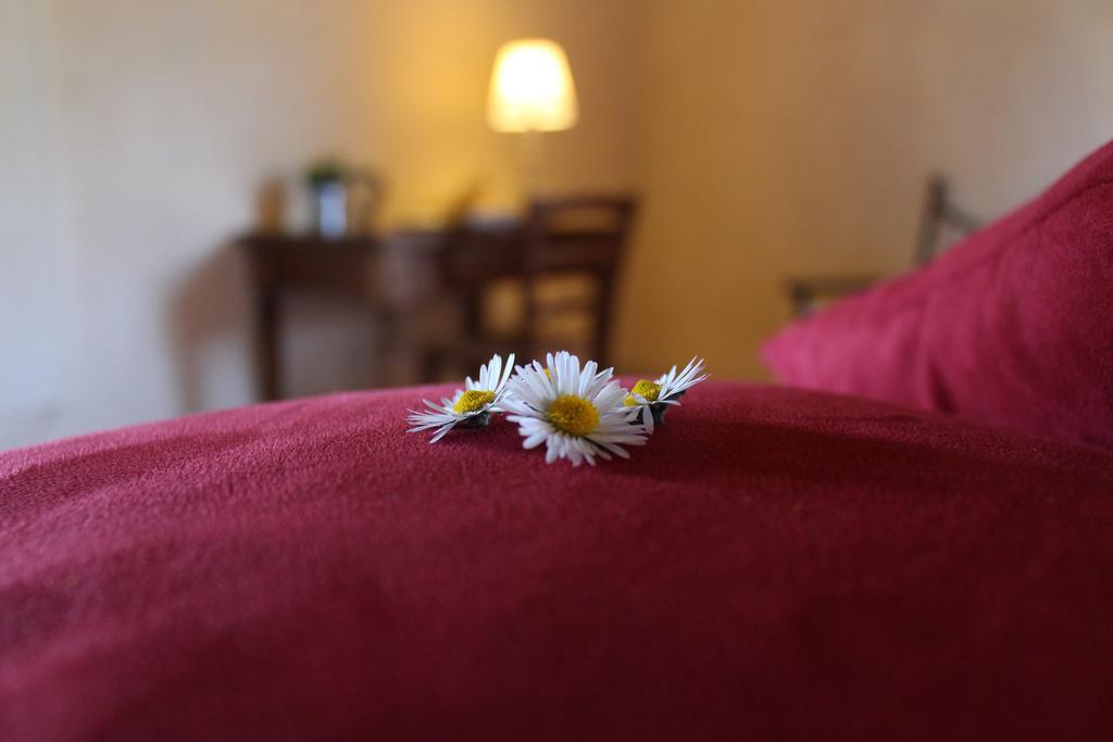 Agriturismo Casavecchia Figline Valdarno Bagian luar foto